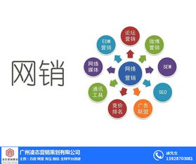 海珠區(qū)企業(yè)畫冊(cè)設(shè)計(jì)專家——凌志營(yíng)銷策劃，信息系統(tǒng)集成服務(wù)優(yōu)質(zhì)商家